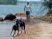 buds-on-the-beach2
